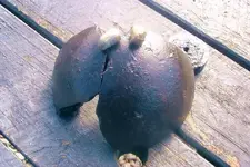 DSCF0016.webp