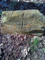 Rock1.webp