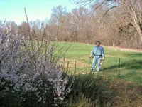 PICT0008.webp