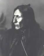 crowfoot.webp