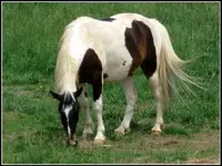 l_15b20df45e934546983a41ffc3701cd5.webp
