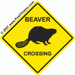 beaver.gif