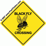 blackfly.gif