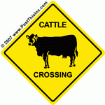 cattle.gif