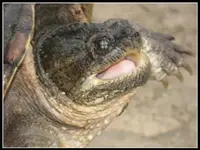 l_b1993c7bc59a4c23be9b1546c6735123.webp