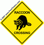 raccoon.gif