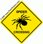 spider.gif