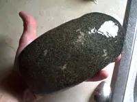 VID00004.webp