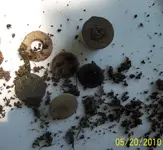 before cleaning.webp