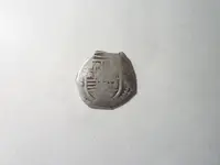 4 Reale-shield.webp