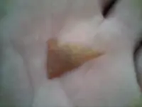 !cid__0328101222.webp