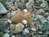 !cid__0328101143.webp