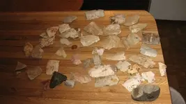 5-2-2010 009.webp