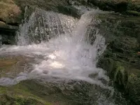 046.webp