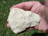 100_0250.webp
