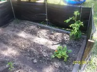000_0551.webp
