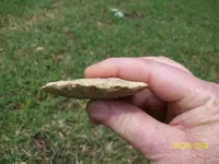 100_0254.webp