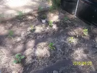 000_0552.webp