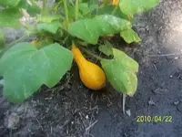 000_0553.webp