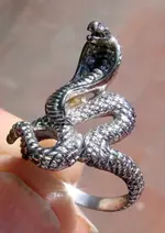Snake ring sm.webp