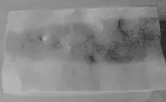 plate negative.webp