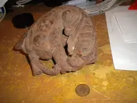 DSCN1580.webp