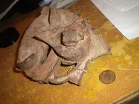 DSCN1581.webp