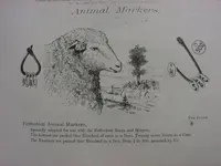 animal marker tags.webp