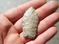 DSCF2096.webp