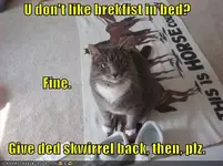 funny-pictures-why-dont-you-like-breakfast-in-bed.webp