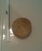 IMAG0070.webp