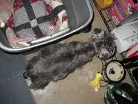 DSCN1054.webp