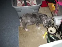 DSCN1055.webp