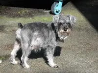 DSCN1056.webp