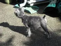 DSCN1057.webp