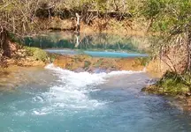 100_2649.webp