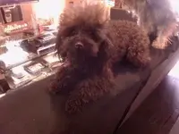 Jaxter.webp