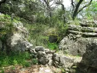 animal den.webp