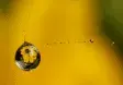 avatar_24276.webp avatar_24276.webp