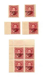 HawaiianProvGovt1893.webp