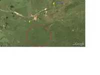 Moa Area.webp