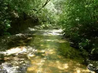millsite1.webp