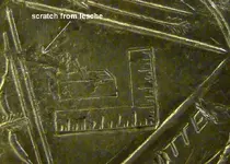 closeup1.webp