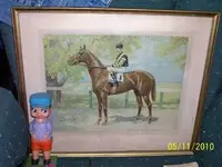 man o war.webp