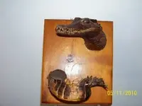gator.webp