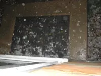 HAIL 4-5-10 006.webp