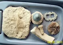 field 5 finds.webp