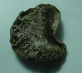 Seated Dime (2).webp