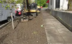 finds yard 002 (Small).webp