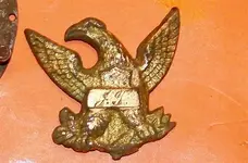eagle 1.webp